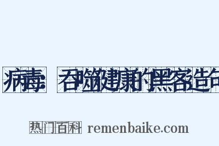病毒：吞噬健康的黑客造句是什么意思的图片